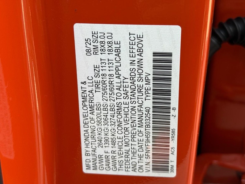 Honda Passport Vehicle Image 18