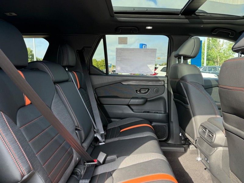 Honda Passport Vehicle Image 5