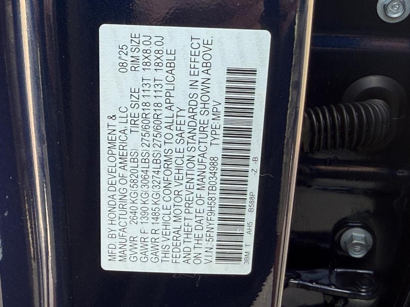 Honda Passport Vehicle Image 18