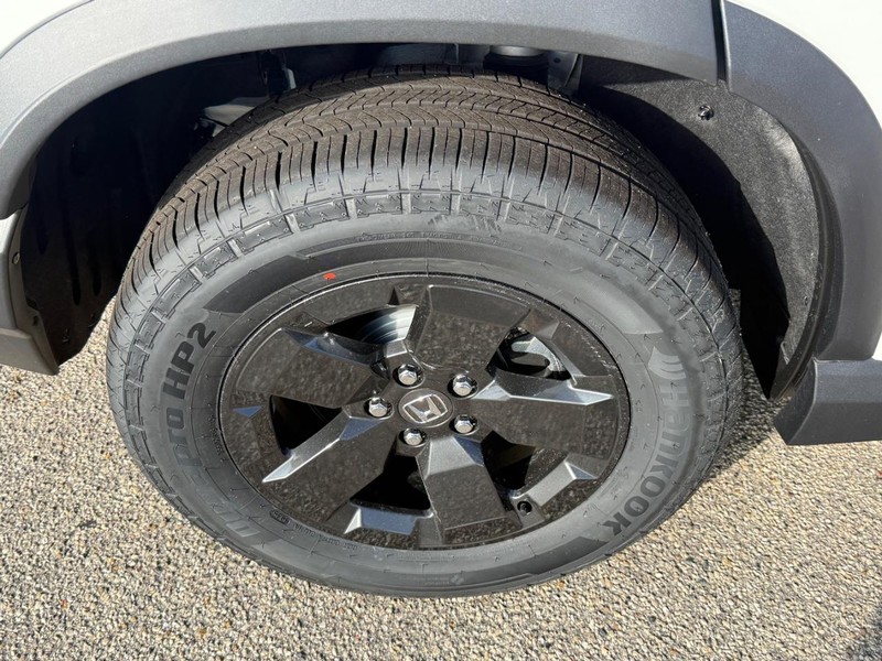 Honda Passport Vehicle Image 4