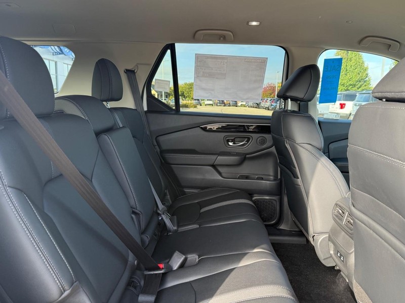 Honda Passport Vehicle Image 5