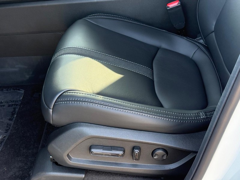 Honda Passport Vehicle Image 17
