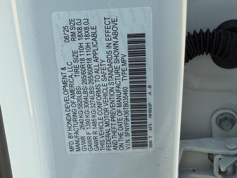 Honda Passport Vehicle Image 18