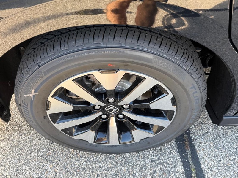 Honda Odyssey Vehicle Image 4