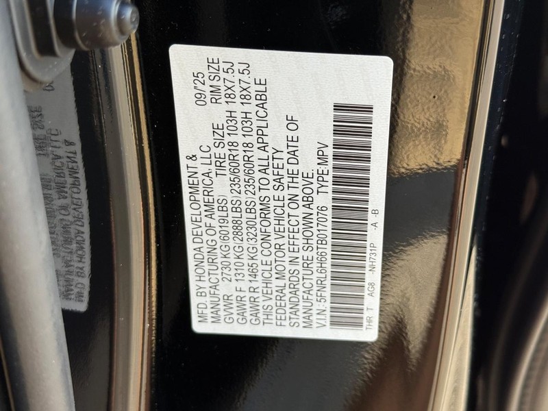 Honda Odyssey Vehicle Image 18