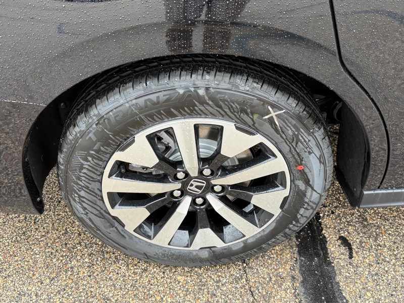 Honda Odyssey Vehicle Image 4