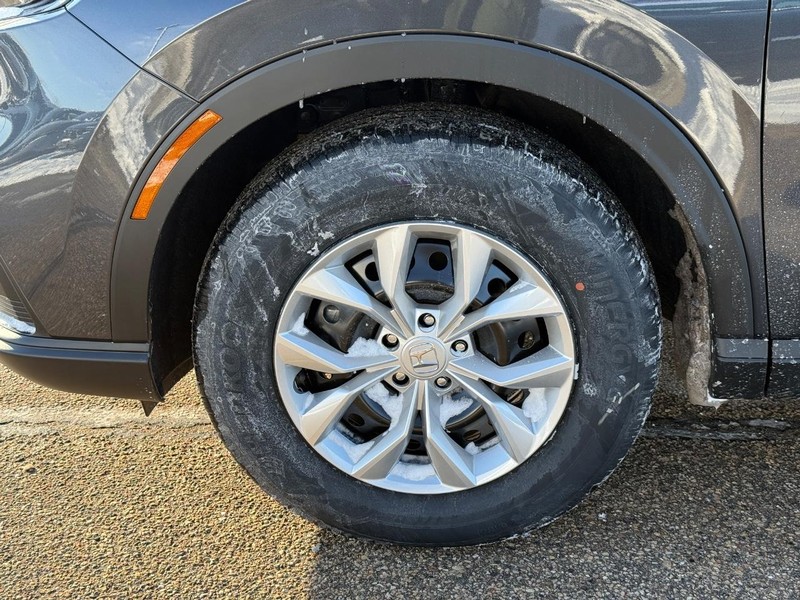 Honda CR-V Vehicle Image 6