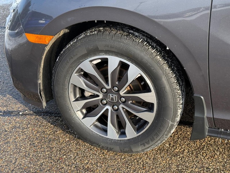 Honda Odyssey Vehicle Image 6