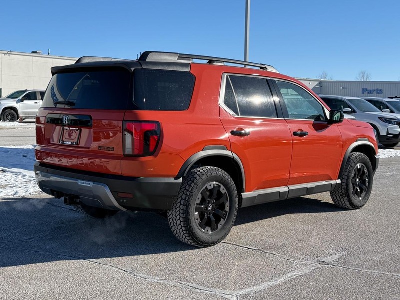 Honda Passport Vehicle Image 3