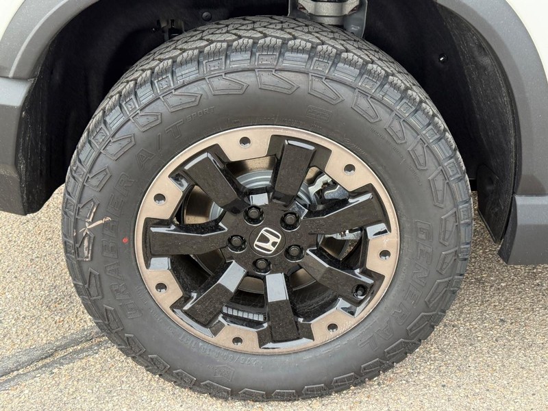 Honda Passport Vehicle Image 4