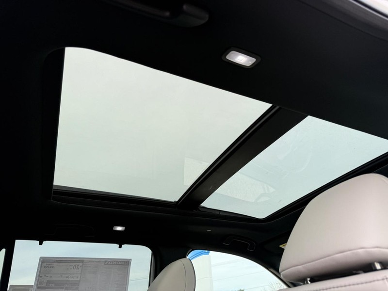 Honda Passport Vehicle Image 6