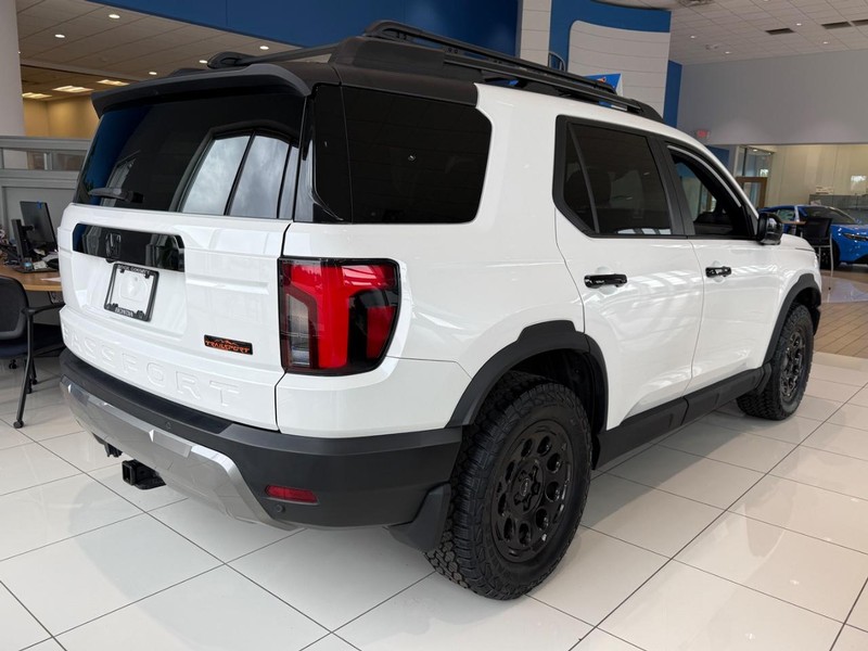 Honda Passport Vehicle Image 2