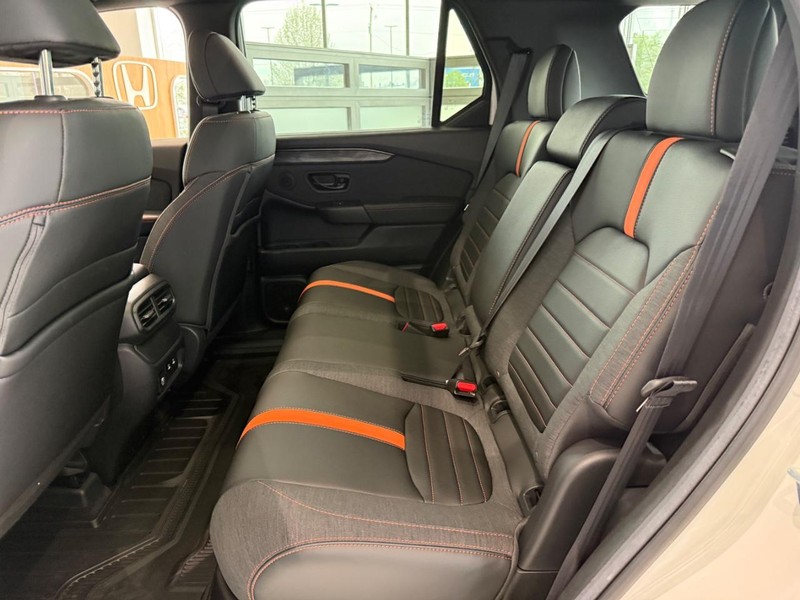 Honda Passport Vehicle Image 7