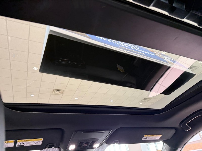 Honda Passport Vehicle Image 13