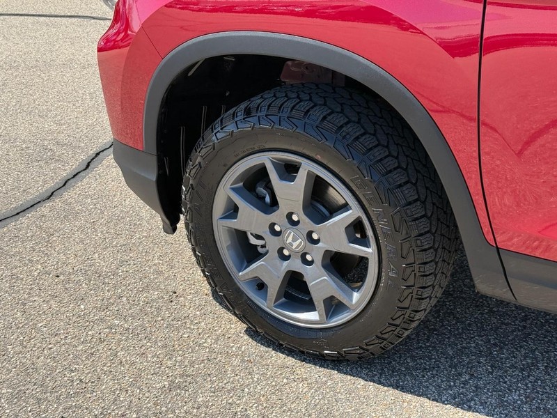 Honda Passport Vehicle Image 6