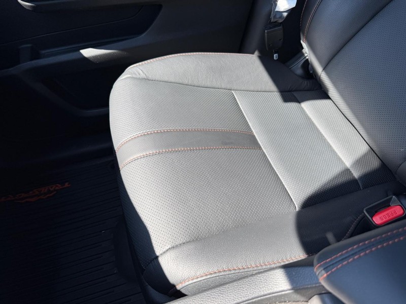 Honda Passport Vehicle Image 19