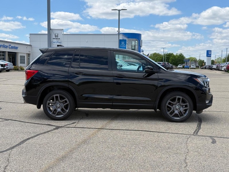 Honda Passport Vehicle Image 2