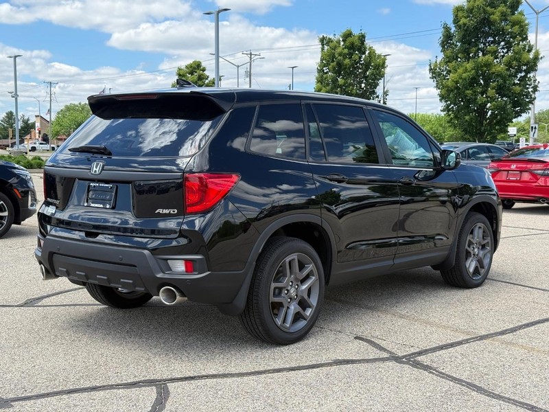 Honda Passport Vehicle Image 3