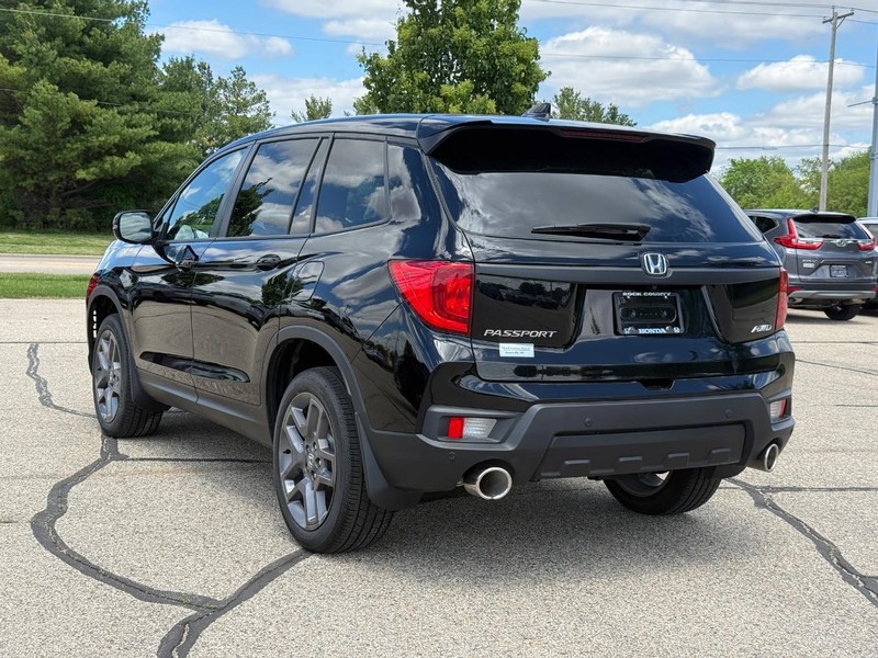 Honda Passport Vehicle Image 5