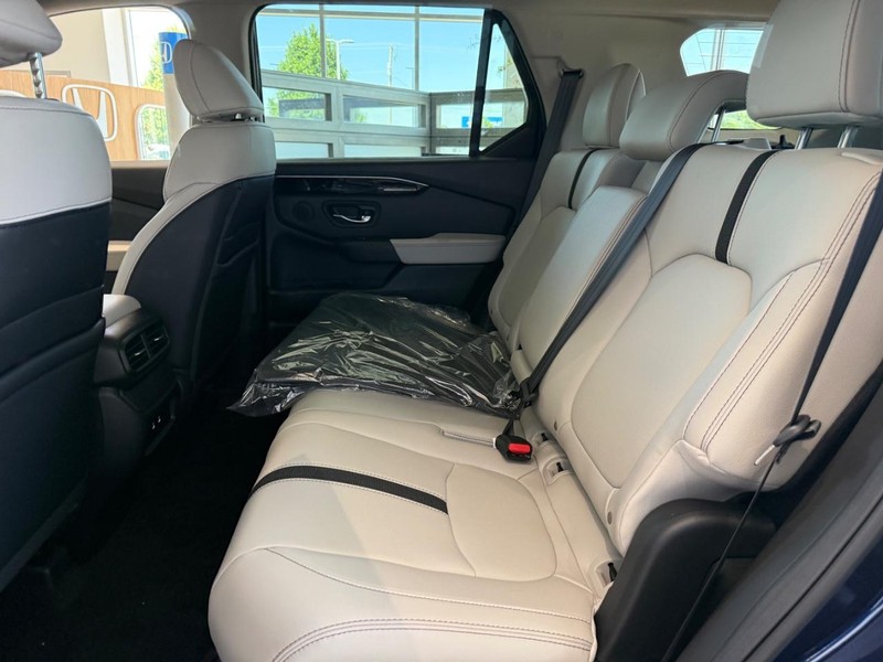 Honda Passport Vehicle Image 6