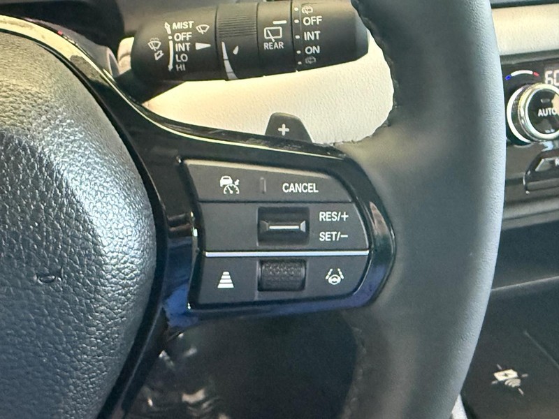 Honda Passport Vehicle Image 13