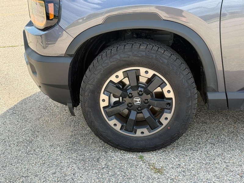 Honda Passport Vehicle Image 6