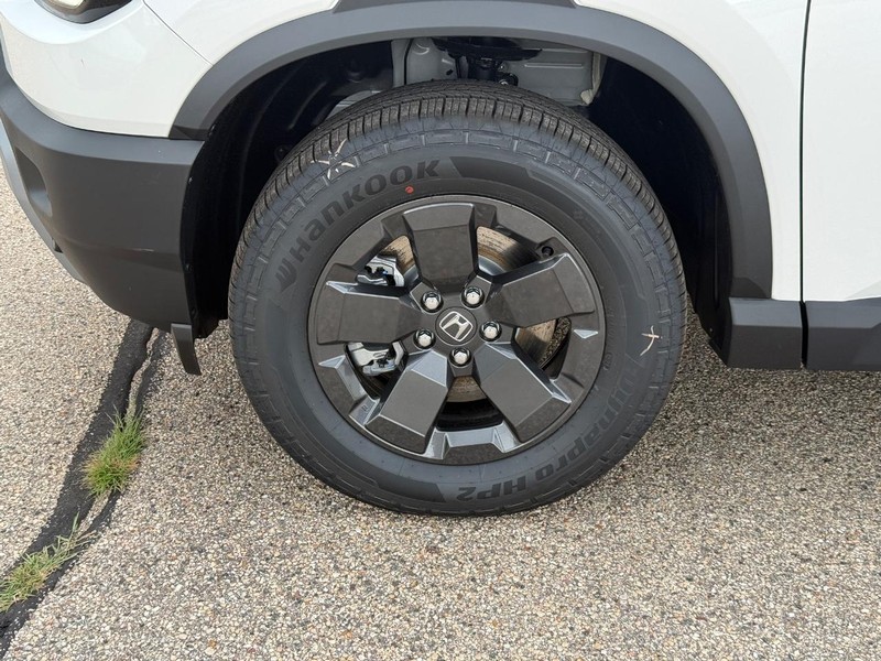 Honda Passport Vehicle Image 7