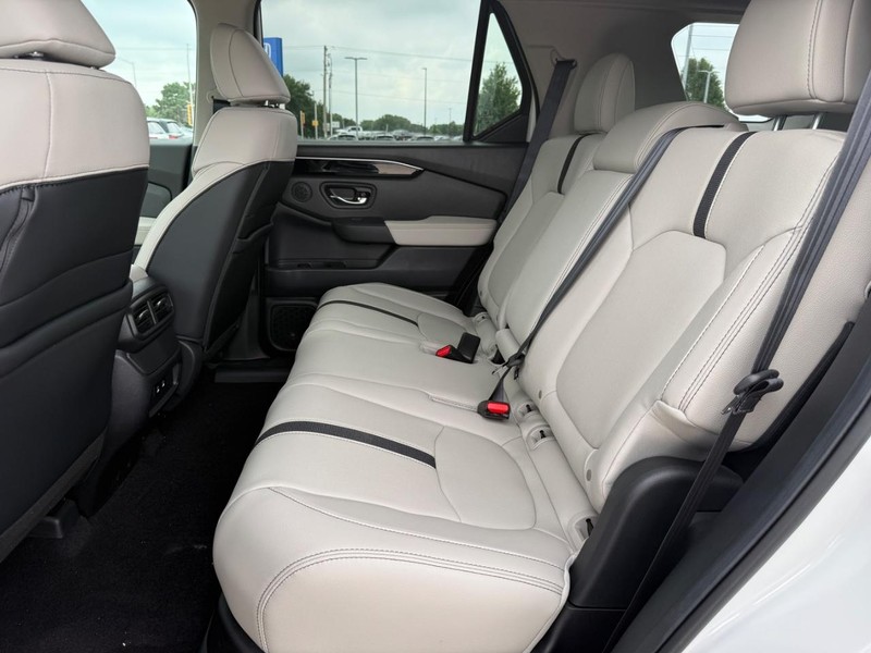 Honda Passport Vehicle Image 8