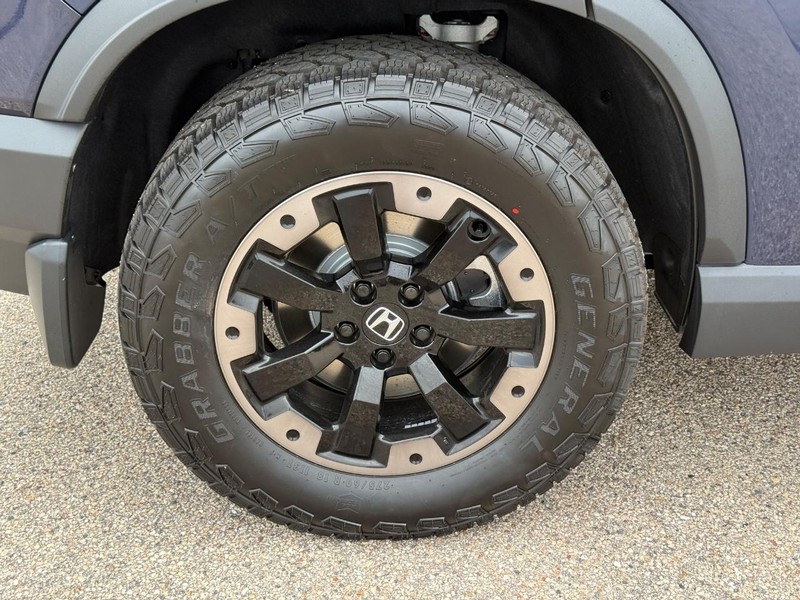 Honda Passport Vehicle Image 4