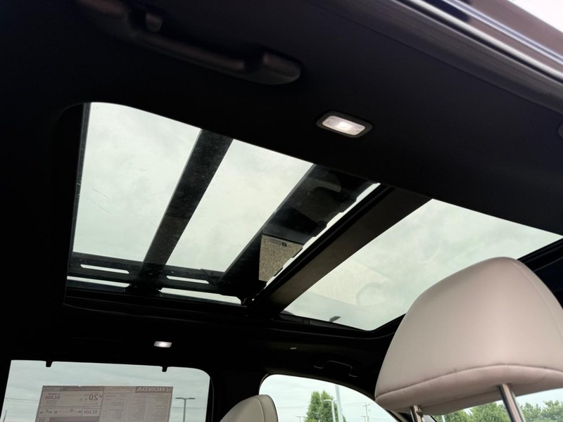 Honda Passport Vehicle Image 6