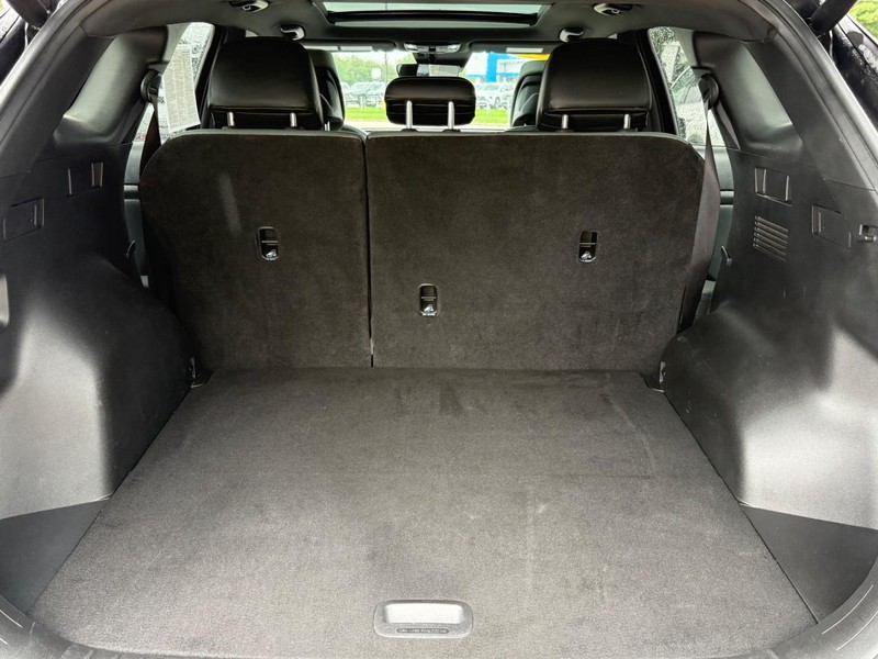 Kia Sportage Vehicle Image 5