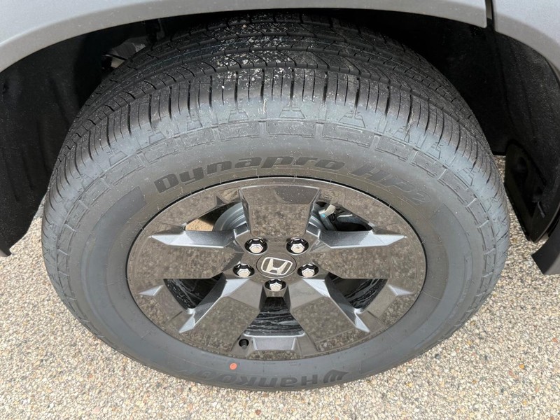 Honda Passport Vehicle Image 4