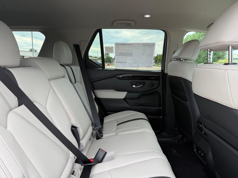 Honda Passport Vehicle Image 5
