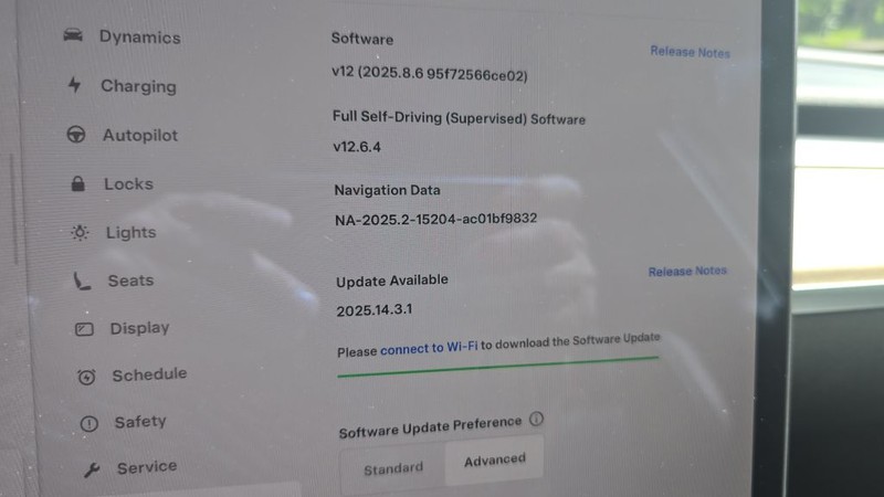 Tesla Model Y Vehicle Image 14