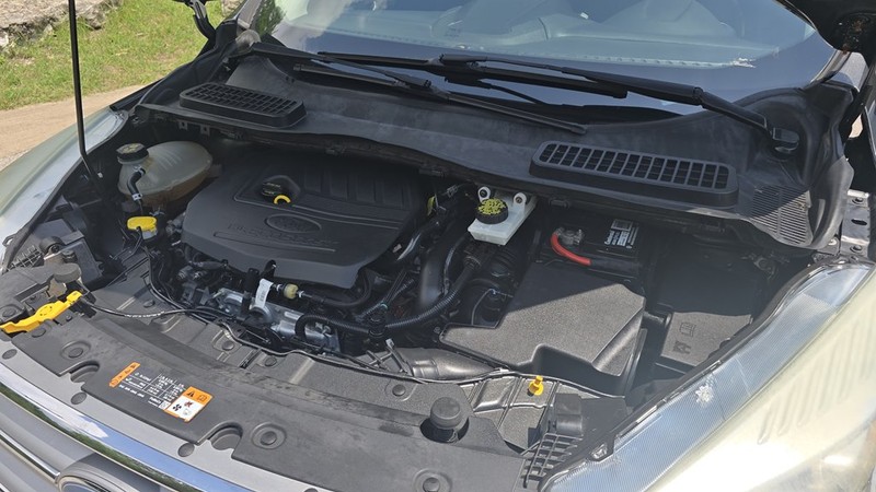 Ford Escape Vehicle Image 14