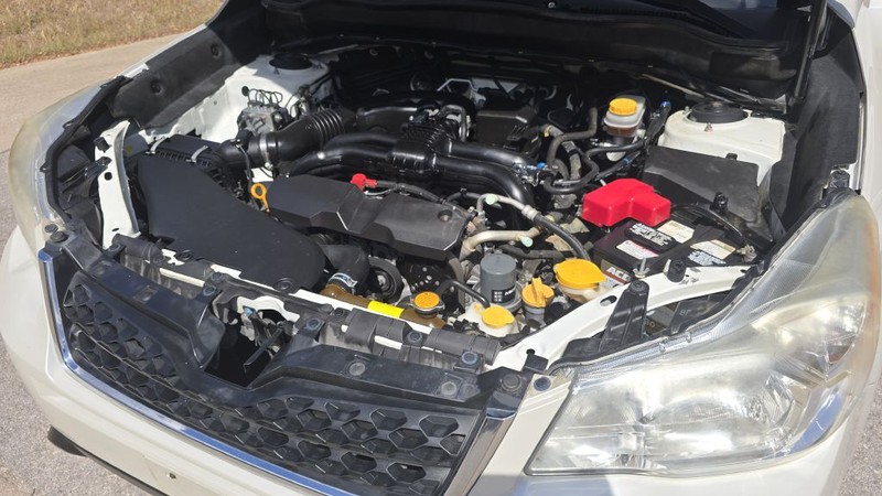 Subaru FORESTER Vehicle Image 14