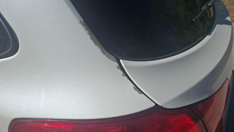 Subaru Outback 3.6R Limited Vehicle Image 15