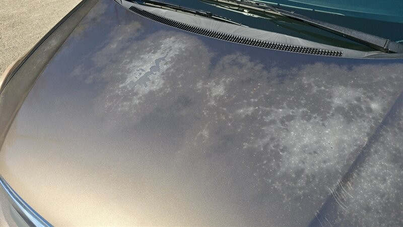 Honda Civic LX Vehicle Image 15