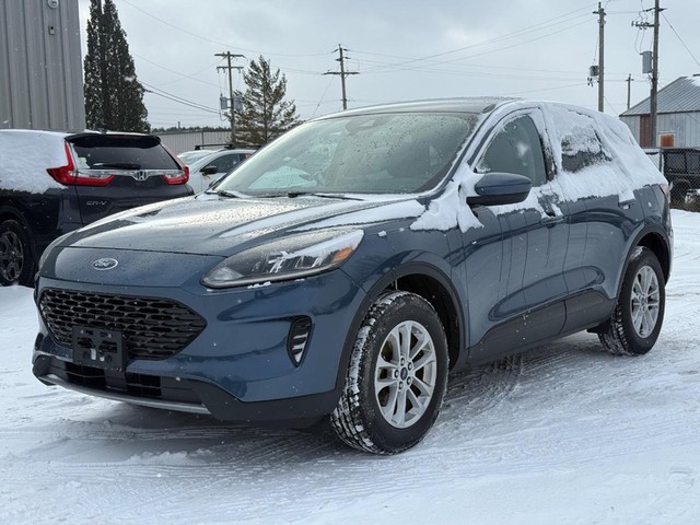 2020 Ford Escape SE's photo