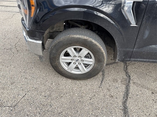 Ford F-150 Vehicle Full-screen Gallery Image 09