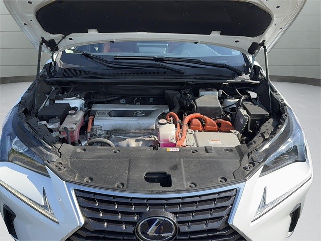 Lexus NX Vehicle Full-screen Gallery Image 23