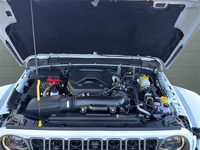 Jeep Wrangler Vehicle Full-screen Gallery Image 19