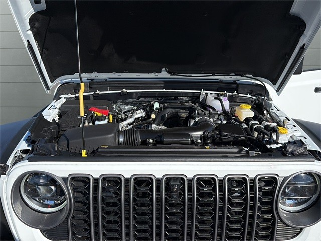 Jeep Wrangler Vehicle Full-screen Gallery Image 19