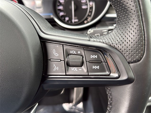 Alfa Romeo Stelvio Vehicle Full-screen Gallery Image 19