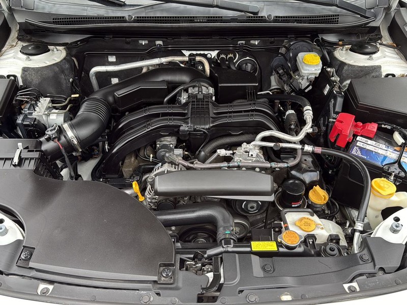 Subaru Outback Vehicle Full-screen Gallery Image 28
