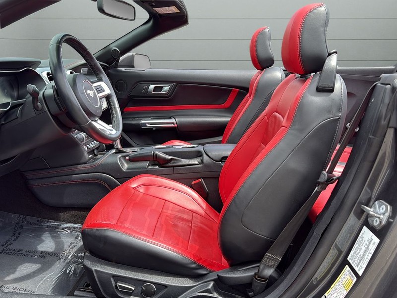 Ford Mustang Vehicle Full-screen Gallery Image 10