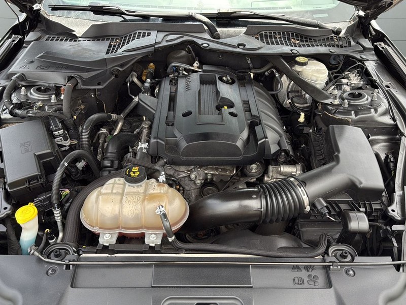 Ford Mustang Vehicle Full-screen Gallery Image 26