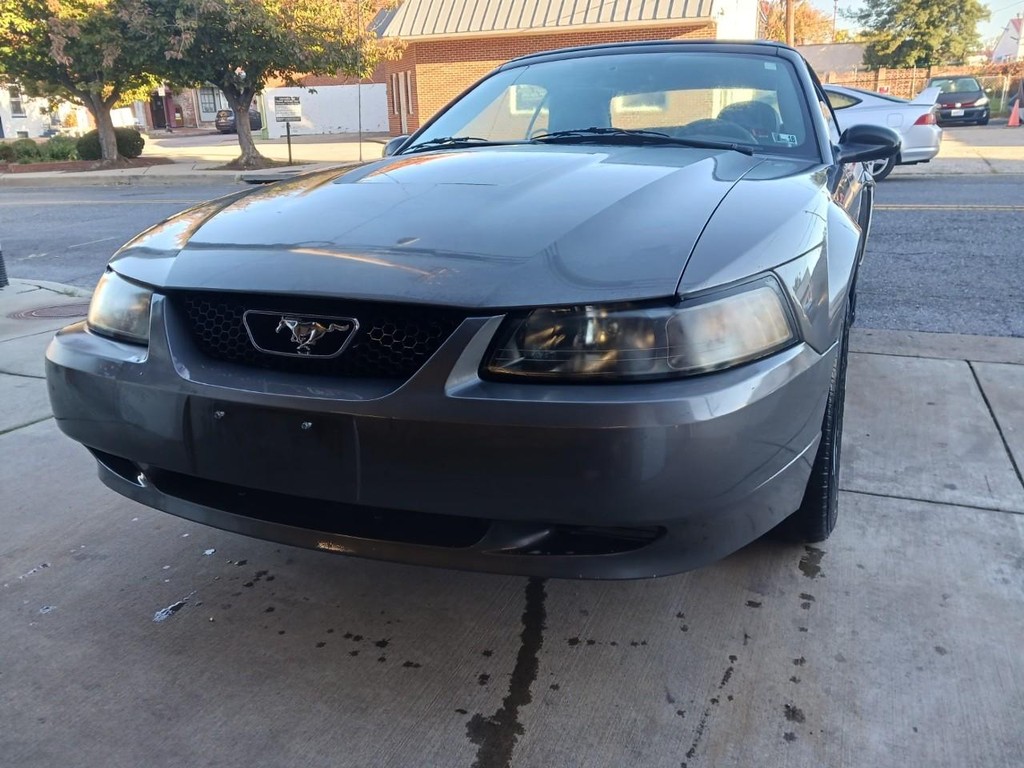 Ford Mustang Vehicle Full-screen Gallery Image 04