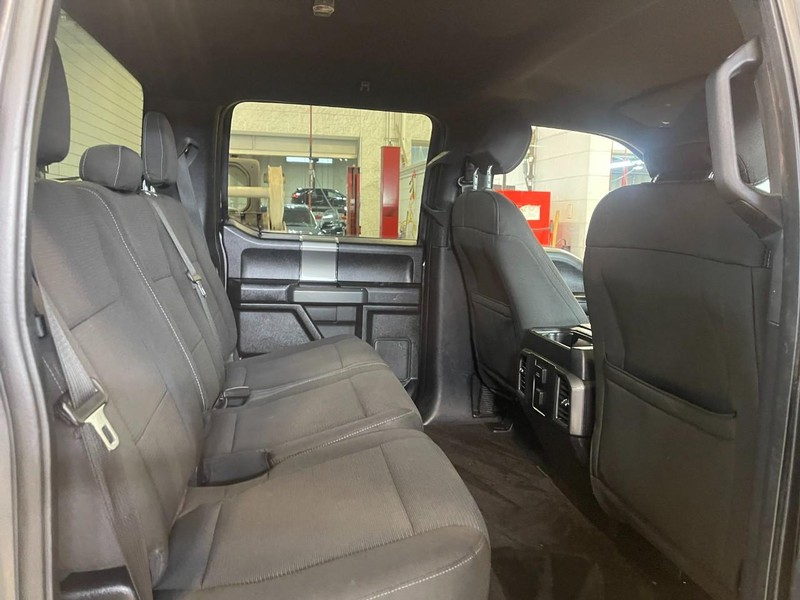 Ford F-150 Vehicle Image 12
