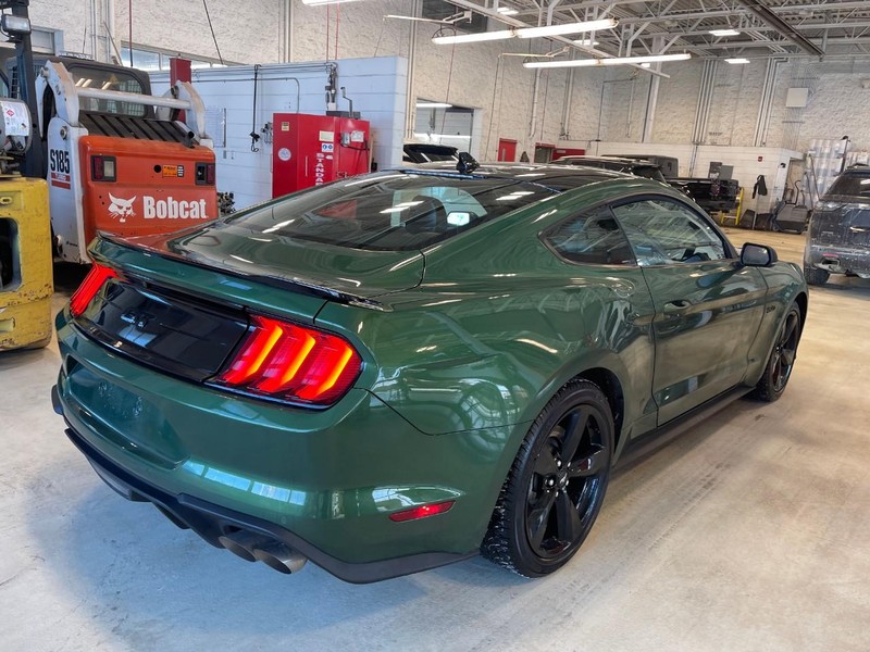 Ford Mustang Vehicle Image 03